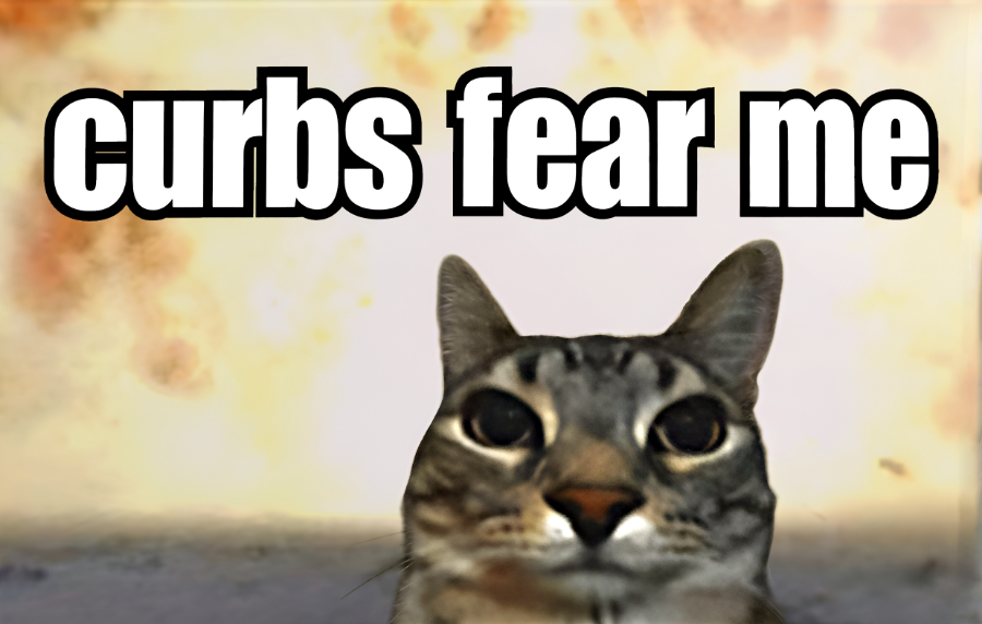 Curbs Fear Me Funny Cat Meme HFN GenZ Unhinged Magnetic Cute Car Magnet