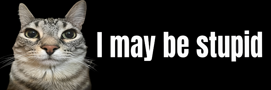 10x3 inch I May be Stupid Cat Meme HFN Car Magnet Funny Meme Cute Kitty Cat Car Magnet Decor  W