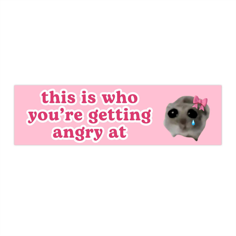 This is who youre angry at Sad Hamster HFN Car Magnet Crying Funny Cute Pink Coquettte Car Decor