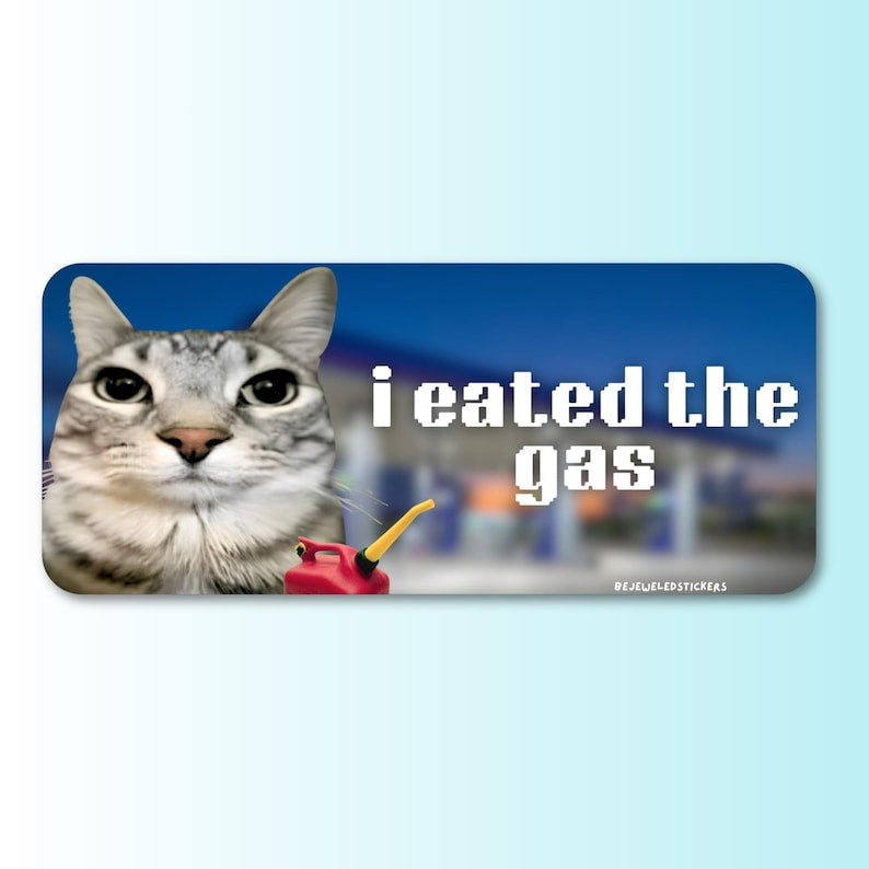 I Eated The Gas Funny Cat Meme HFN Car Magnet Gen Z Unhinged