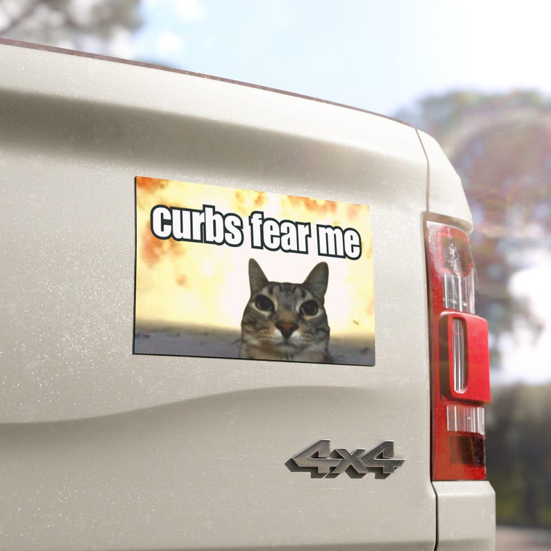 Curbs Fear Me Funny Cat Meme HFN GenZ Unhinged Magnetic Cute Car Magnet
