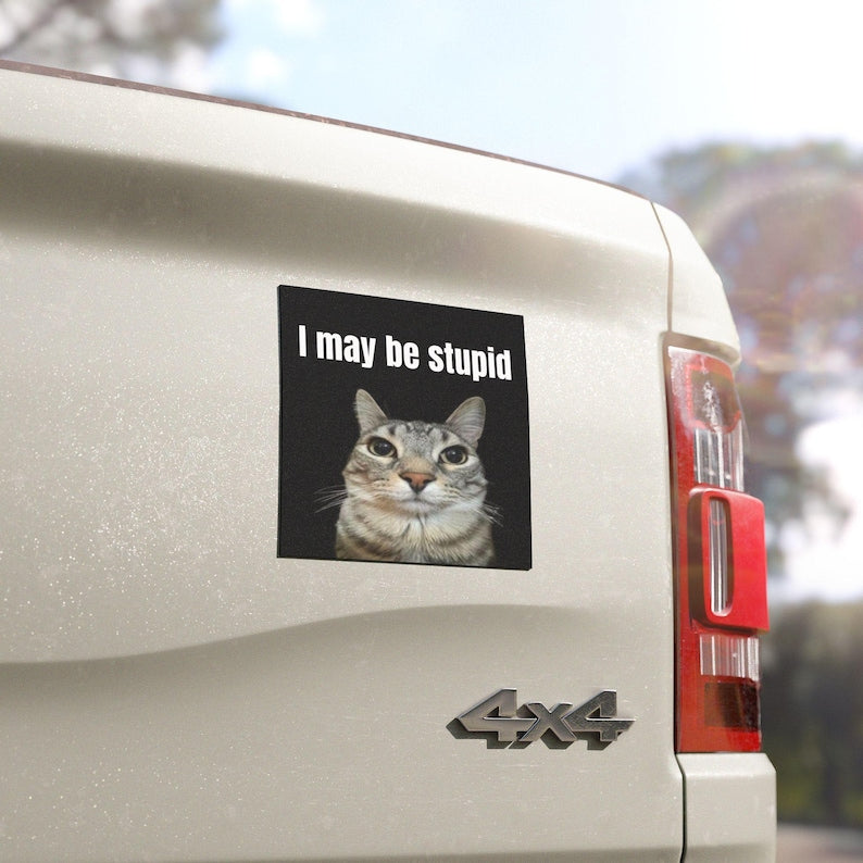 10x3 inch I May be Stupid Cat Meme HFN Car Magnet Funny Meme Cute Kitty Cat Car Magnet Decor  W
