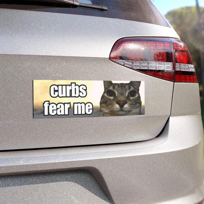 Curbs Fear Me Funny Cat Meme HFN GenZ Unhinged Magnetic Cute Car Magnet