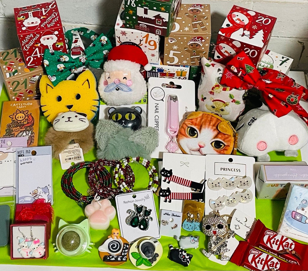 Cat Lover Advent Calendar HG - 24 Box Christmas Countdown Cat Themed Gifts