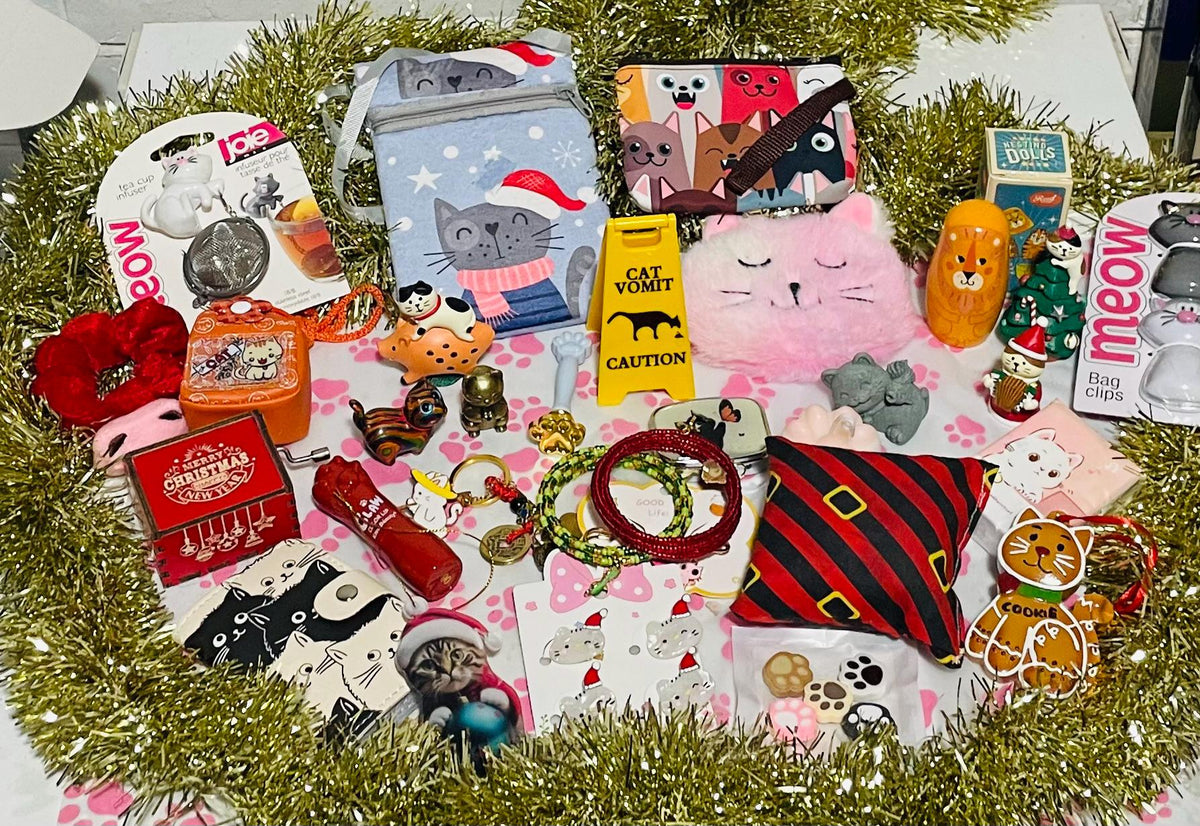 Cat Lover Advent Calendar HG - 24 Box Christmas Countdown Cat Themed Gifts