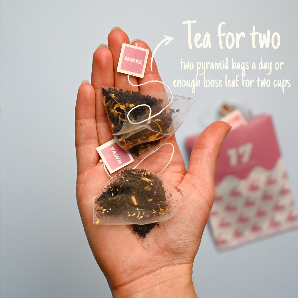 Tea Advent Calendar HG 2026: Christmas Blends, Single Origin, Breakfast, Caffeine-Free
