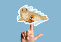 Neil the Seal HFN Sticker | Australian Wildlife Vinyl Decal