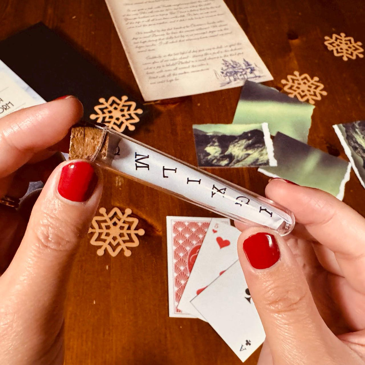 PRE-ORDER | Murder Mystery Advent Calendar HG | Death in a Snowstorm | Escape Room-Style Puzzle Game for Adults